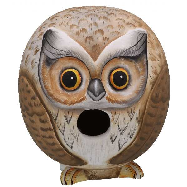 For The Birds Gord-O Owl Bird House