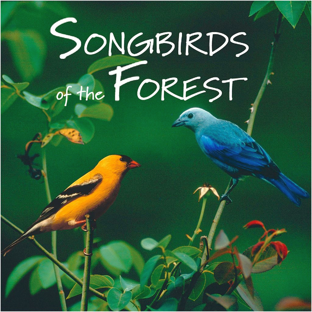 Naturescapes Songbirds of the Forest CD