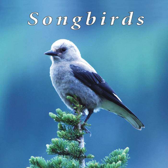 Naturescapes Music CD Songbirds