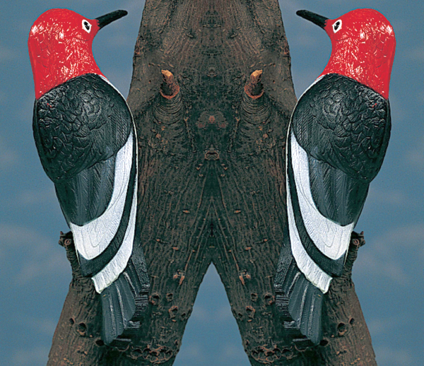 Red-Headed Woodpecker Tree Ornament Set of 2