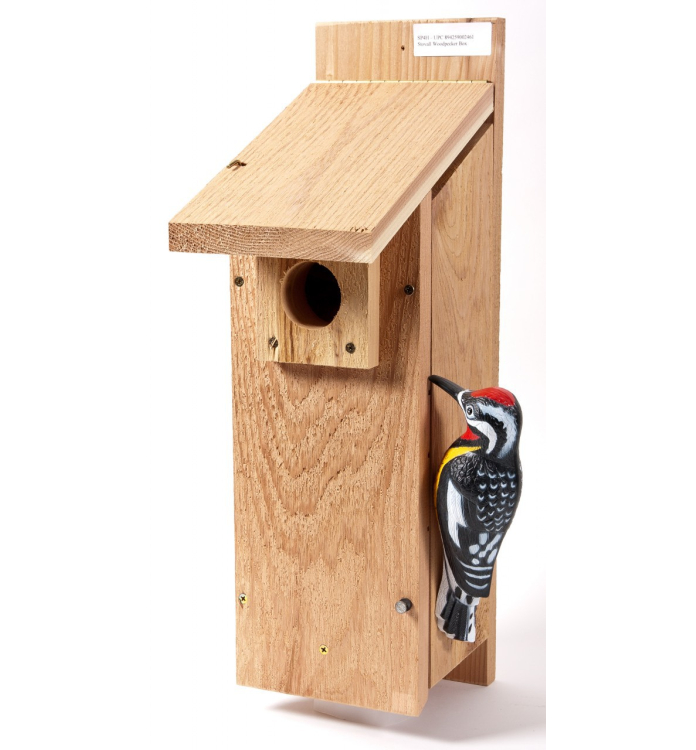 Details about   FLICKER BIRDHOUSE Amish Handmade Custom Weatherproof Woodpecker Bird Box USA 