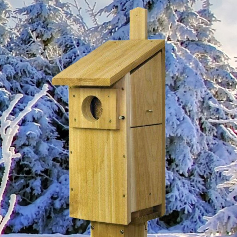 Select Cedar Screech Owl/Kestrel House