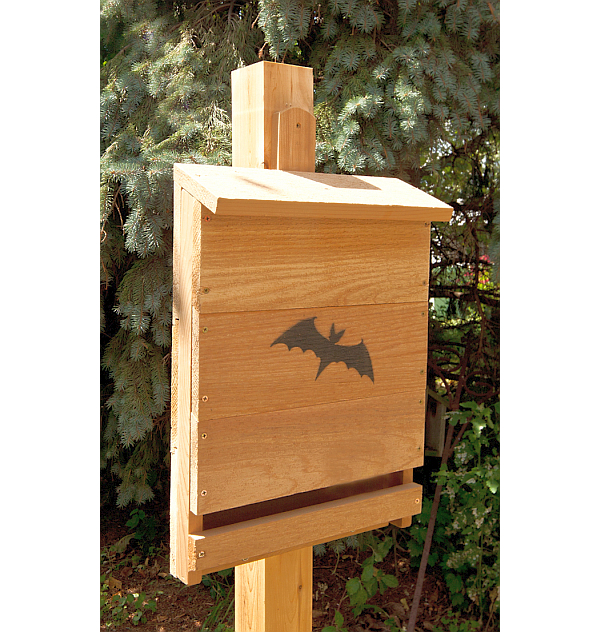 Select Cedar Single Compartment Bat House