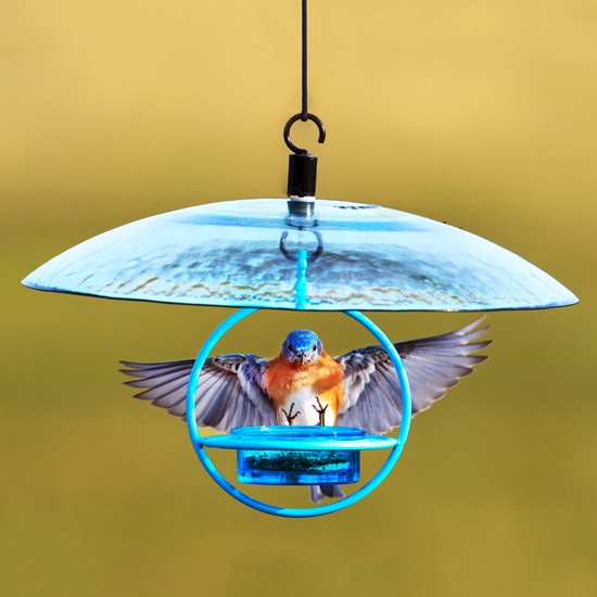 Sphere Hanging Feeder w/Perch and 15
