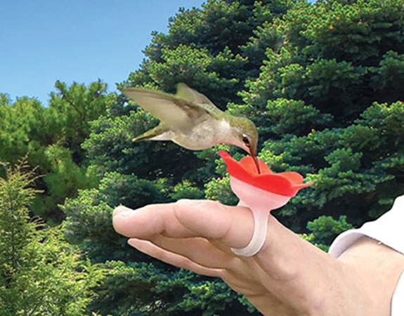 Hummer Ring™ Hummingbird Feeder Red 2/Pack