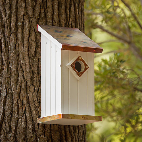 Fancy Bluebird House with Copper Roof