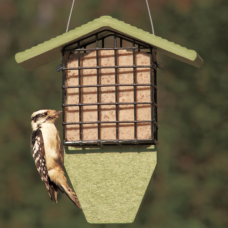 Green Solutions Recycled Tail Prop Suet Feeder