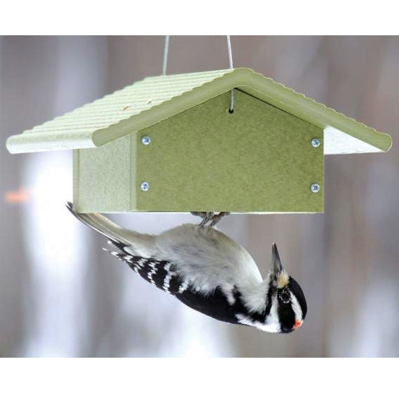 Green Solutions Recycled Upside Down Suet Feeder