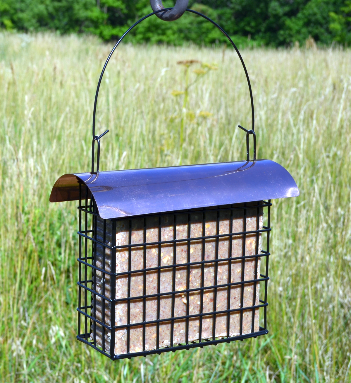 Deluxe Large Copper Top Suet Cake Cage Feeder