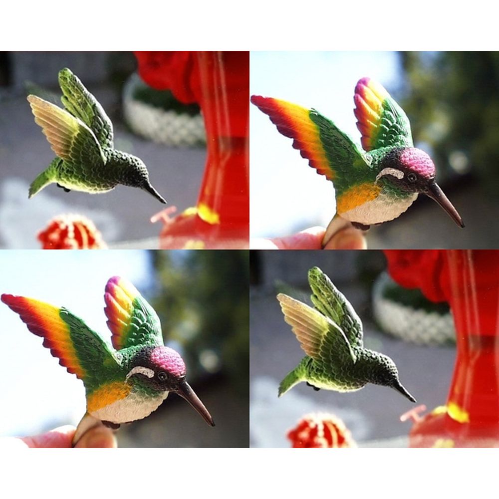 Hummingbird Fly Through Window Magnet Set of 4