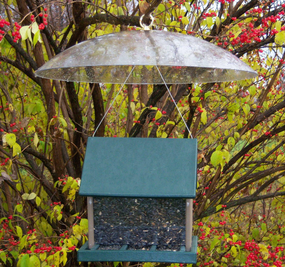 Recycled Plastic Large Hopper Feeder w/20