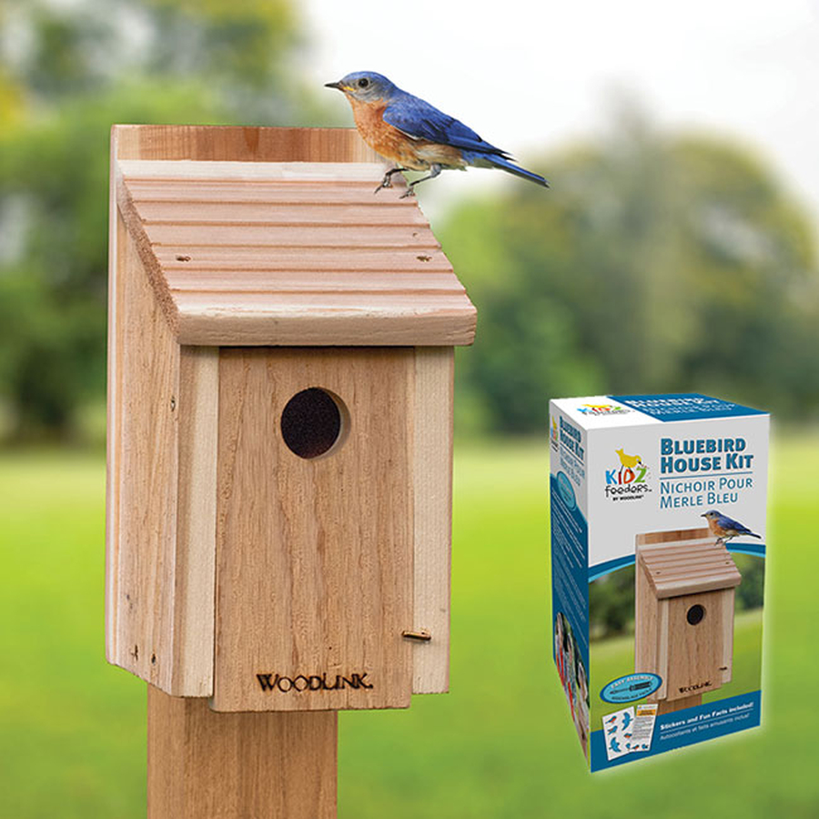 Do-It-Yourself Bluebird House Craft Kit 6/Pack