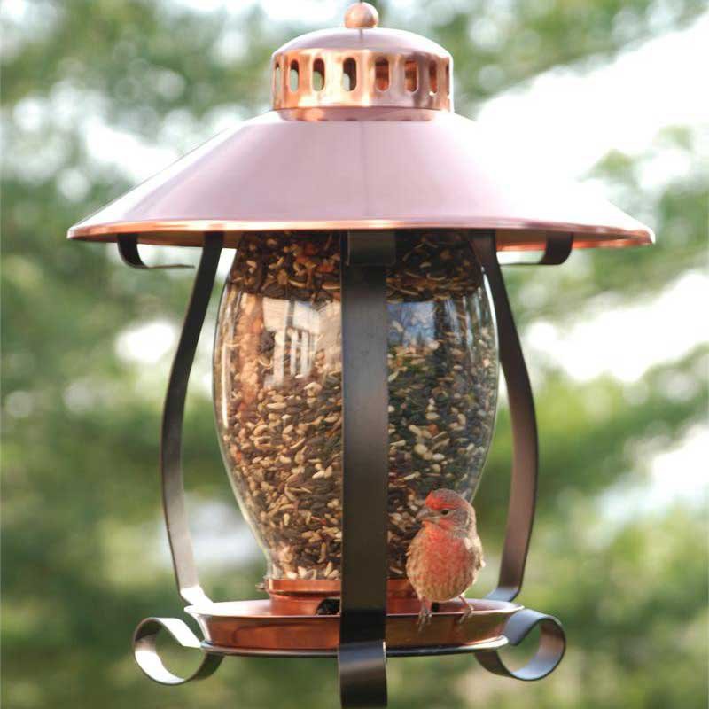 Audubon Mini Copper Lantern Feeder