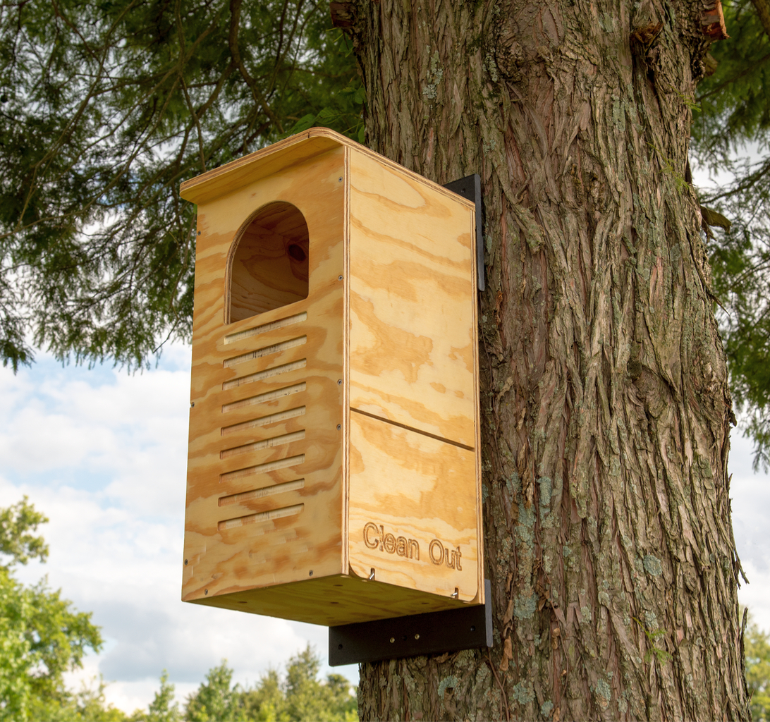 Select Barred Owl Nesting Box Assembled