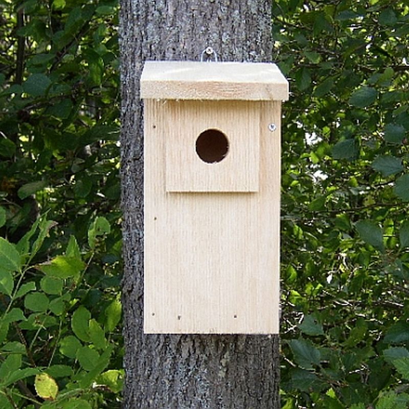 Conservation Economy Eastern Bluebird Trail Box