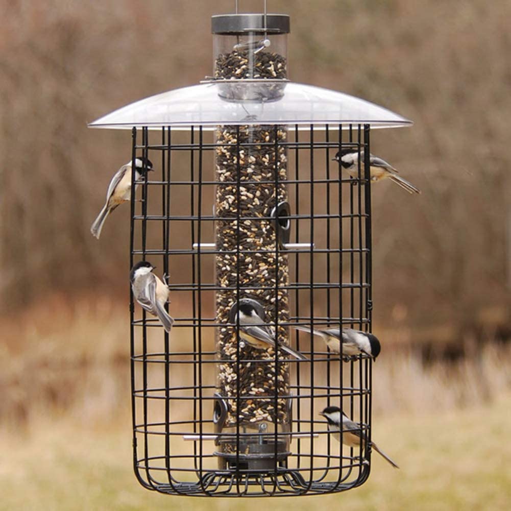 Droll Yankees B-7 Domed Caged Sunflower Feeder