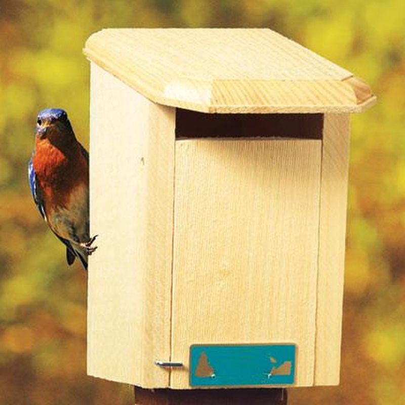 Sparrow Resistant Eastern Bluebird House