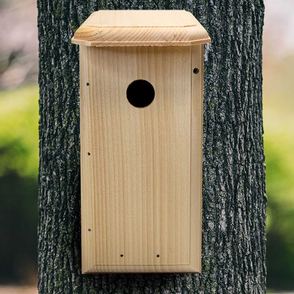 Conservation Nuthatch House