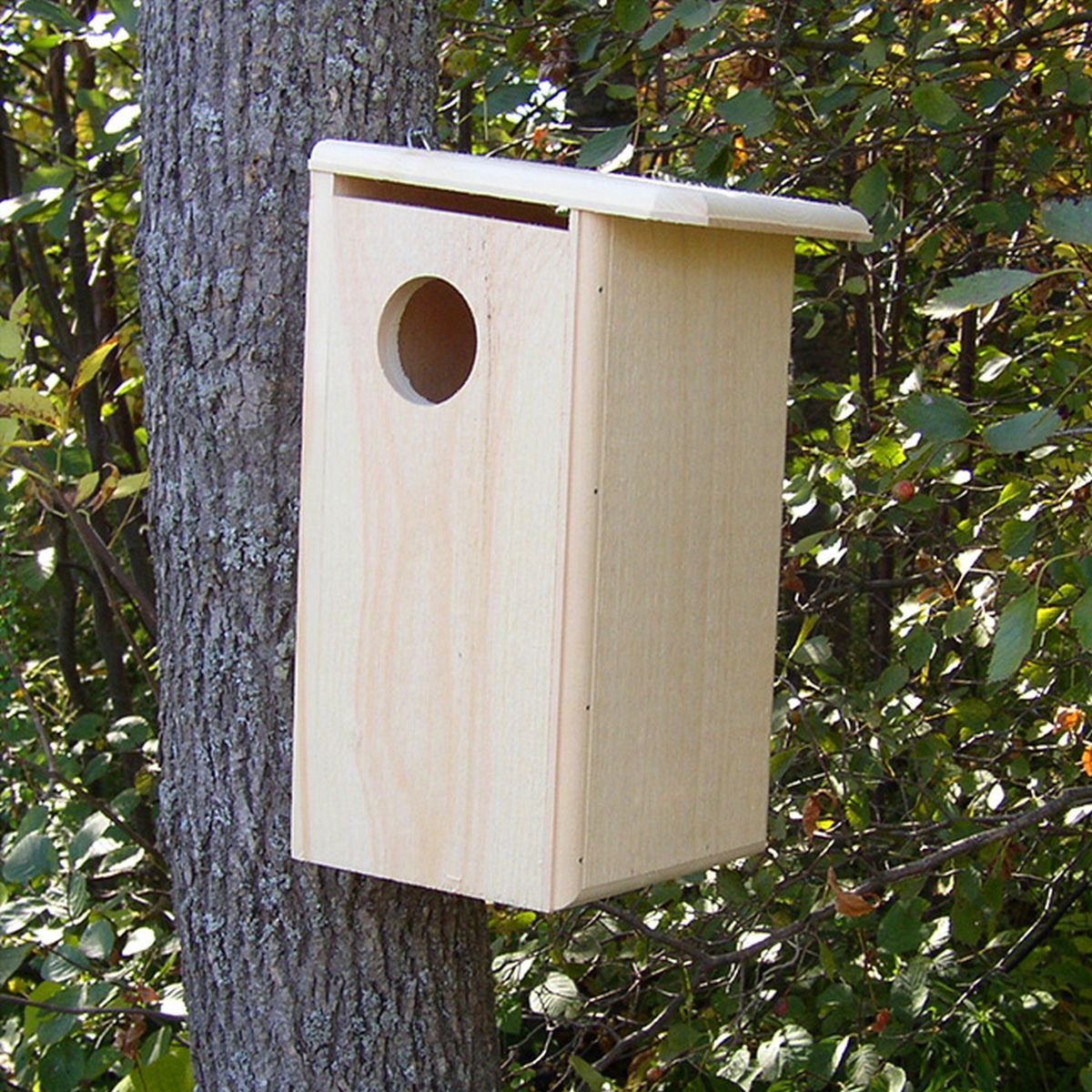 Conservation Squirrel House