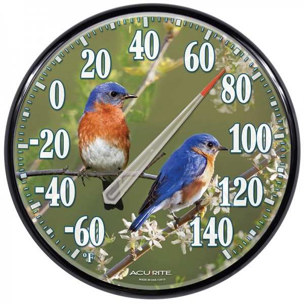 Accurite James Hautman Bluebirds Thermometer
