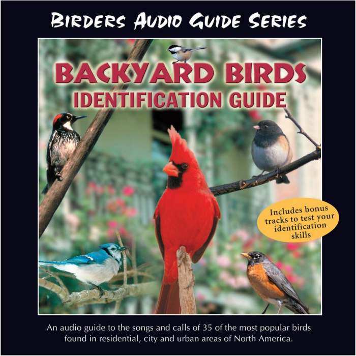 Backyard Birds Identification Guide CD
