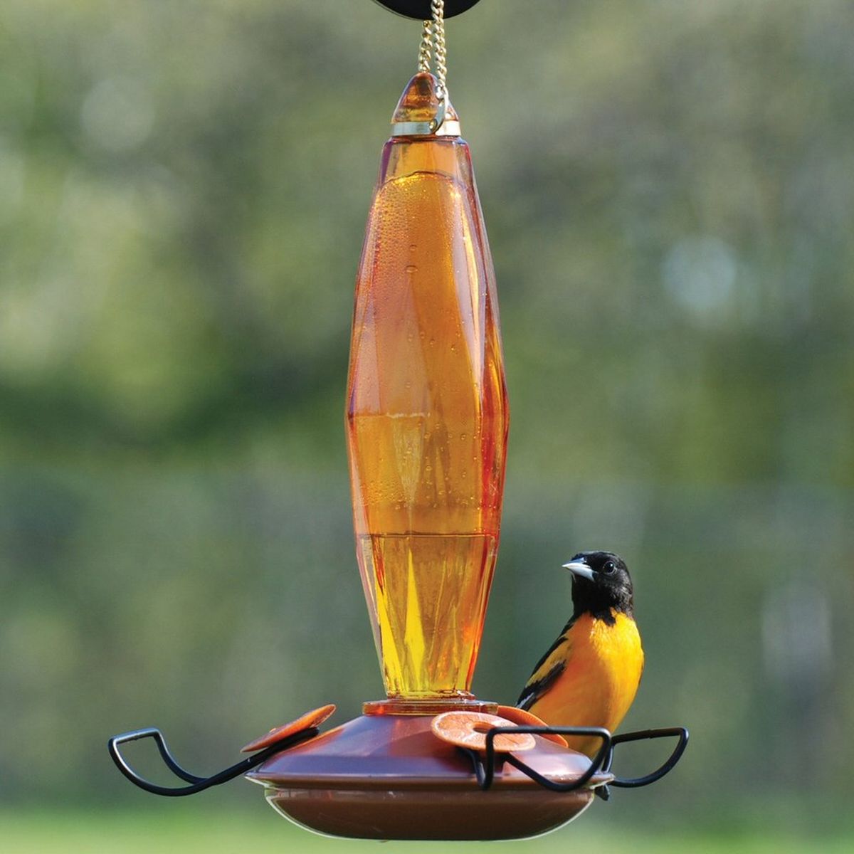 Audubon Cut Glass Amber Oriole Feeder