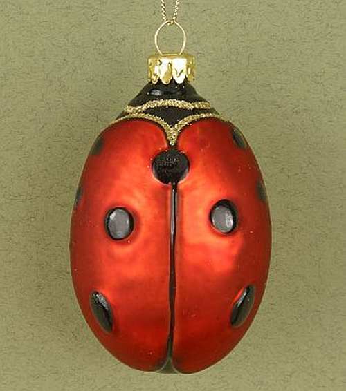 Blown Glass Ornament Ladybug