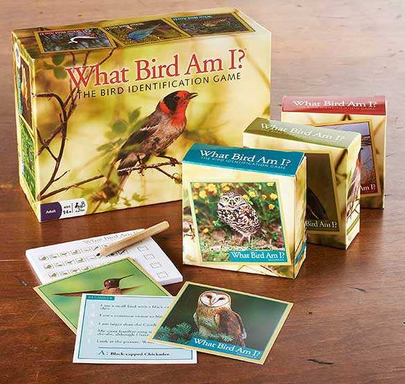What Bird Am I? Bird Identification Game