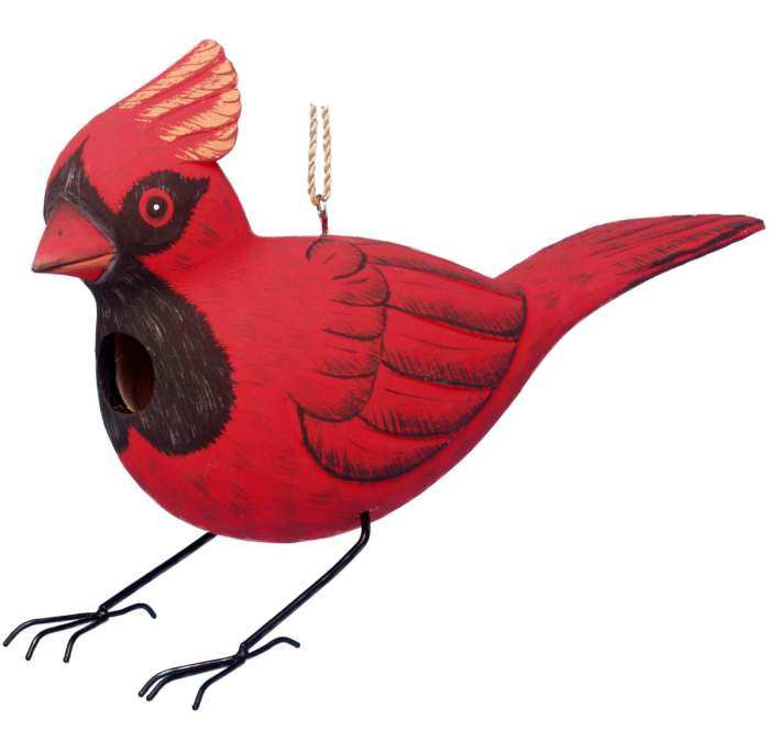 For The Birds Cardinal Bird House