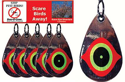 Bird-B-Gone Scare Eye Pest Bird Diverters Set of 5