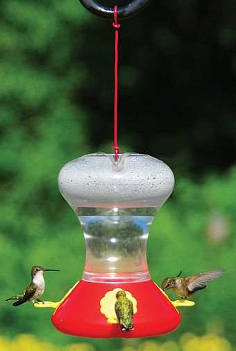 Fliteline Hummingbird Feeder 30oz Twin Pack