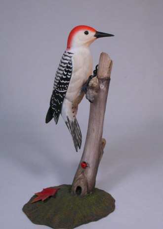 Carved Red-bellied Woodpecker