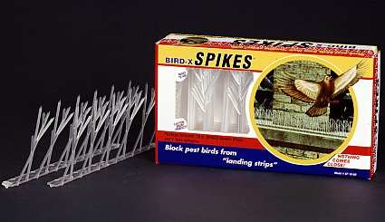 Bird-X Bird Spikes Plastic 10 ft Kit