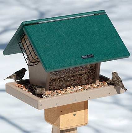 Second Nature 7 Qt. Hopper w/Angled Suet Cages