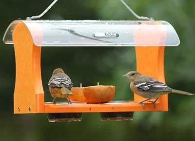 Second Nature Oriole Feeder w/Hanging Cable