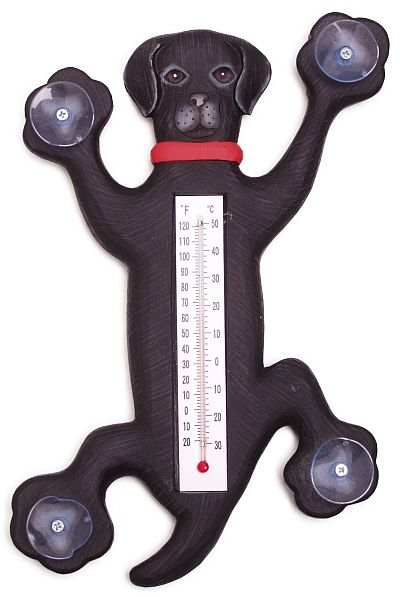 Weather or Not Window Thermometer Black Lab