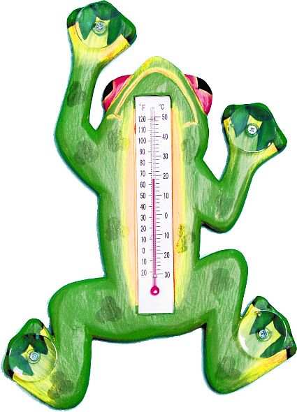 Weather or Not Window Thermometer Green Frog