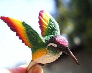 Rainbow Hummingbird Fly Through Magnet