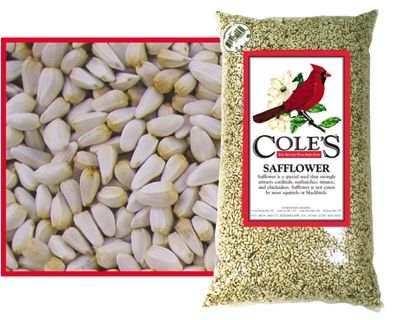 Cole's Safflower Seed 5#