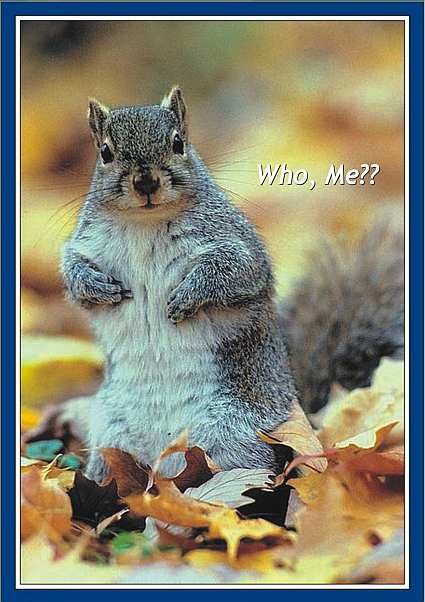 Who, Me? 500 Piece Jigsaw Puzzle