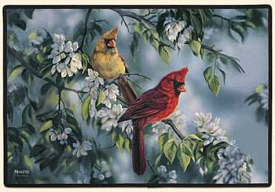 Cardinals Doormat