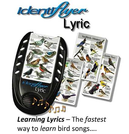 BirdSong IdentiFlyer Lyric