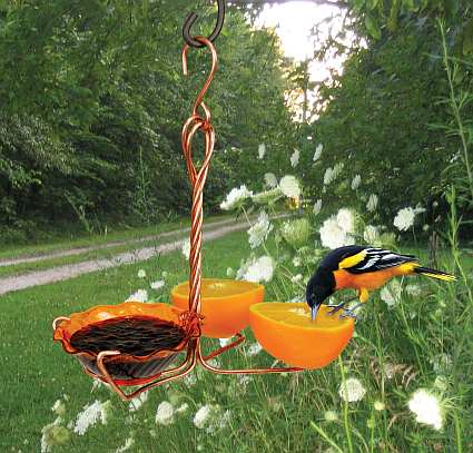 Copper Oriole Fruit and Jelly Feeder Single Cup