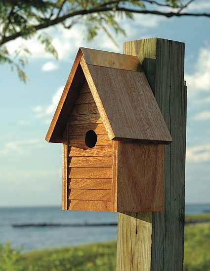 Starter Home Mahogany Bird House