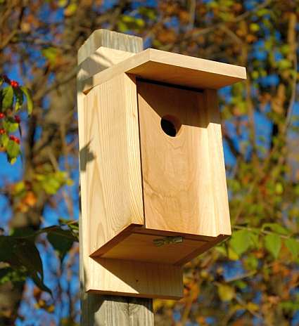 Cypress Joy Box For Eastern Bluebirds