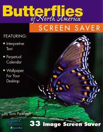 Butterflies of North America Screen Saver