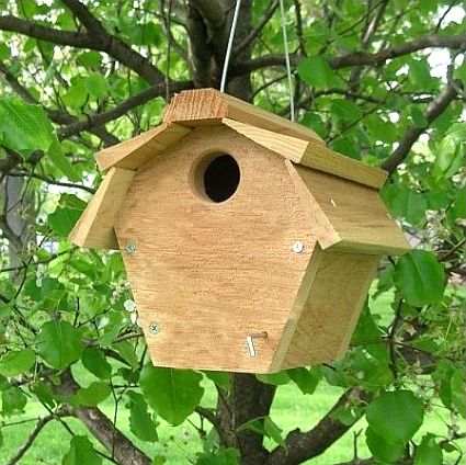 Carolina Wren Cedar Nest Box