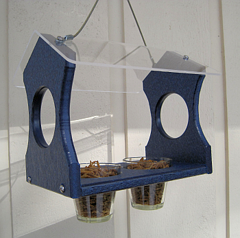 Recycled Poly Hanging Bluebird Feeder