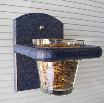 Recycled Poly Mealworm Window Feeder