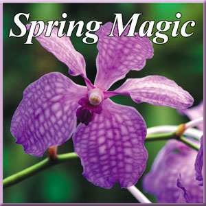 Naturescapes Spring Magic CD